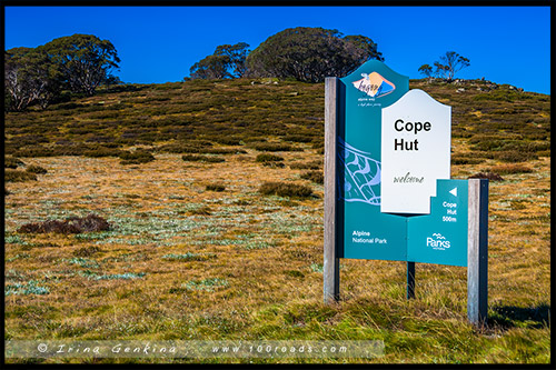 Хижина Уоллесов, Wallaces Hut, Высокогорье Богонг, Bogong High Plains, Фолс Крик, Falls Creek, Викторианские Альпы, Victorian Alps, Австралия, Australia