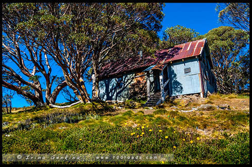 Хижина Уоллесов, Wallaces Hut, Высокогорье Богонг, Bogong High Plains, Фолс Крик, Falls Creek, Викторианские Альпы, Victorian Alps, Австралия, Australia