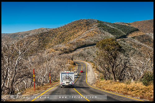 Гора Хотам, Mount Hotham, Викторианские Альпы, Victorian Alps, Австралия, Australia