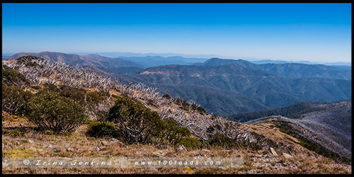 Гора Хотам, Mount Hotham, Викторианские Альпы, Victorian Alps, Австралия, Australia