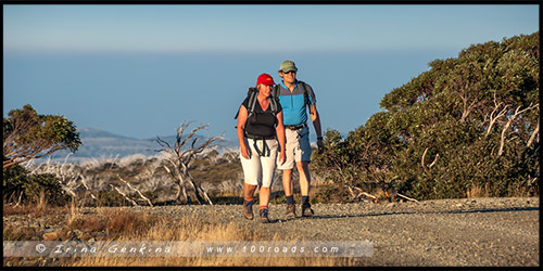 Гора Хотам, Mount Hotham, Викторианские Альпы, Victorian Alps, Австралия, Australia