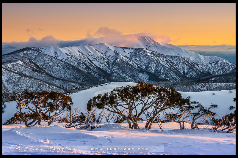 Гора Хотам, Mount Hotham, Викторианские Альпы, Victorian Alps, Австралия, Australia