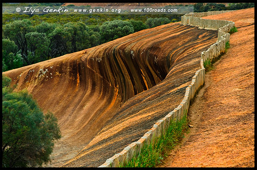 Скала Волна, Каменная Волна, Wave Rock, Хайден, Hyden, Золотой Аутбэк Австралиии, Australias Golden Outback, Западная Австралия, Western Australia, WA, Австралия, Australia