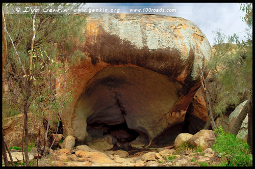 Зевок Гипопотама, Hippos Yawn, Хайден, Hyden, Золотой Аутбэк Австралиии, Australias Golden Outback, Западная Австралия, Western Australia, WA, Австралия, Australia