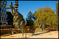 Перт, Perth, Западная Австралия, Western Australia, WA, Австралия, Australia