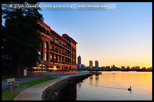 Пивоварня старого лебедя, The Old Swan Brewery, Перт, Perth, Западная Австралия, Western Australia, WA, Австралия, Australia