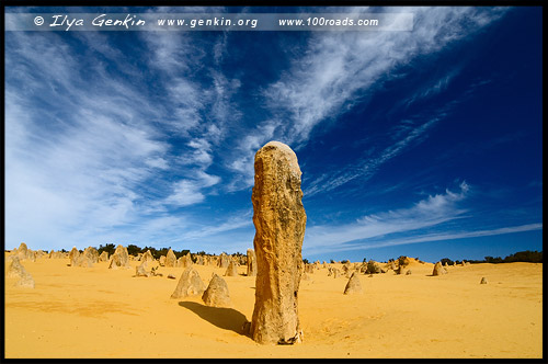 Пустыня Пиннаклс, Pinnacles Desert, Национальный Парк Намбунг, Nambung National Park, Западная Австралия, Western Australia, WA, Австралия, Australia