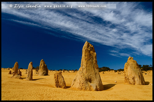 Пустыня Пиннаклс, Pinnacles Desert, Национальный Парк Намбунг, Nambung National Park, Западная Австралия, Western Australia, WA, Австралия, Australia