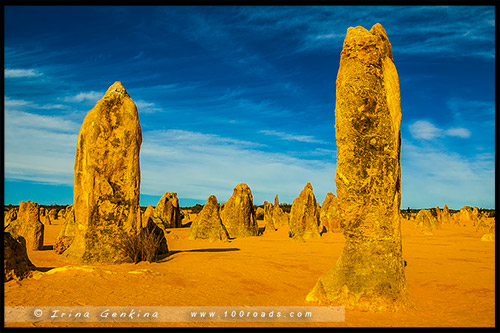 Пустыня Пиннаклс, Pinnacles Desert, Национальный Парк Намбунг, Nambung National Park, Западная Австралия, Western Australia, WA, Австралия, Australia