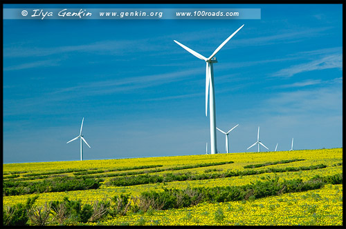 Ветровая электростанця, Emu Downs Wind Farm, Сервантес, Cervantes, Западная Австралия, Western Australia, WA, Австралия, Australia