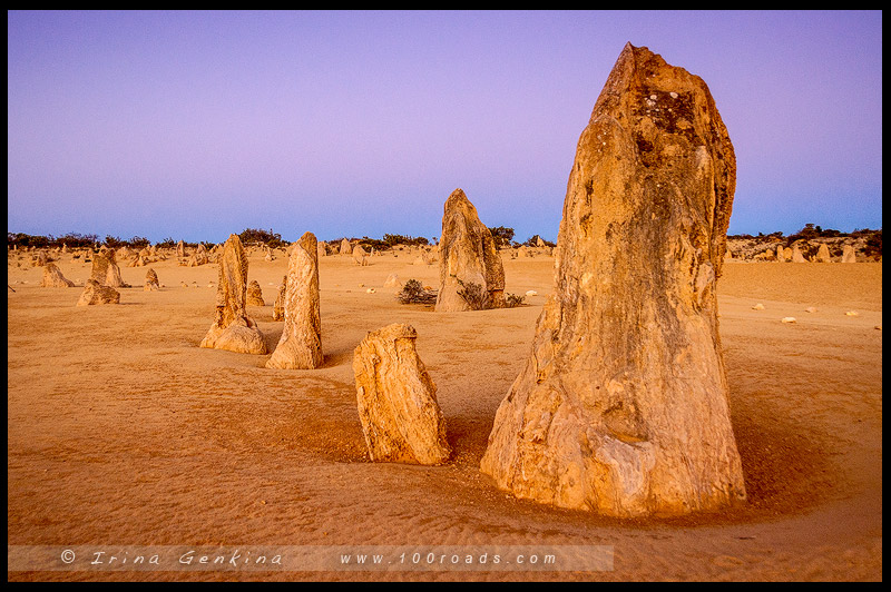 Пустыня Пиннаклс, Pinnacles Desert, Парк Намбунг, Nambung NP, Западная Австралия, Western Australia, Австралия, Australia