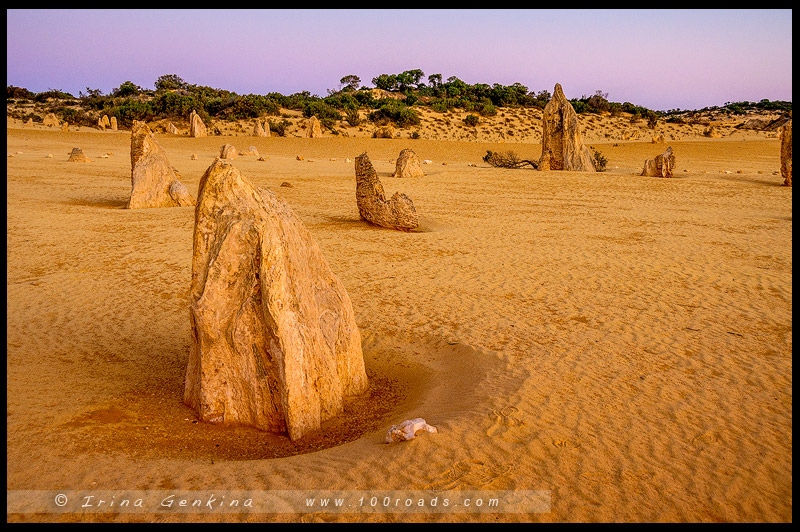 Пустыня Пиннаклс (Pinnacles Desert), Парк Намбунг (Nambung NP), Западная Австралия (Western Australia)
