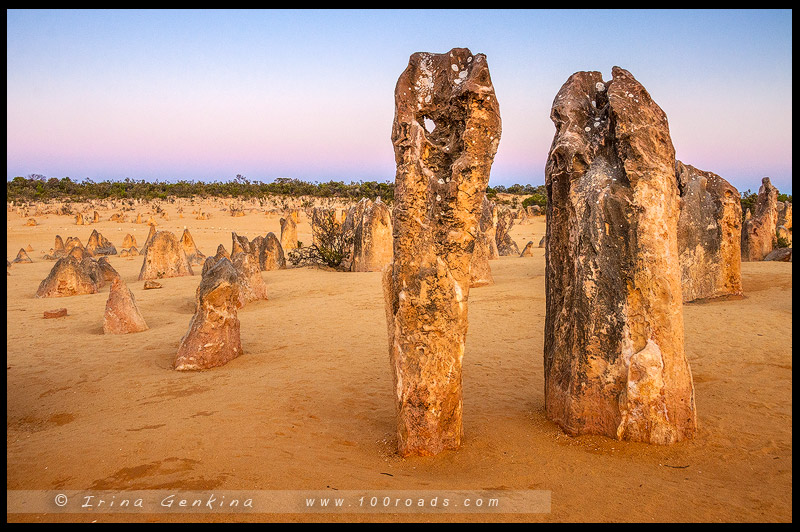 Пустыня Пиннаклс, Pinnacles Desert, Парк Намбунг, Nambung NP, Западная Австралия, Western Australia, Австралия, Australia