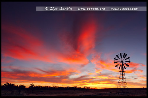 Пустыня Стрелецкого, Strzelecki Desert, Новый Южный Уэльс, New South Wales, NSW, Австралия, Australia