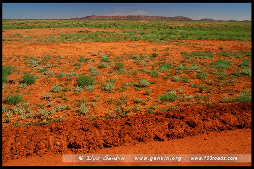 Пейзаж дороги в аутбэке, White Cliffs, Новый Южный Уэльс, NSW, Австралия, Australia