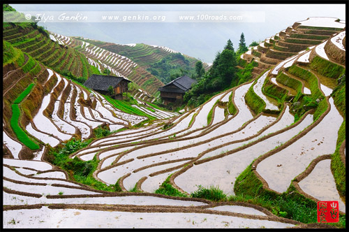 Рисовые террасы, Пинг Ан, Ping An, 平安, Лунцзи, Longji, 龙脊, Лонгшень, Longsheng, 龙胜, Китай, China, 中國, 中国