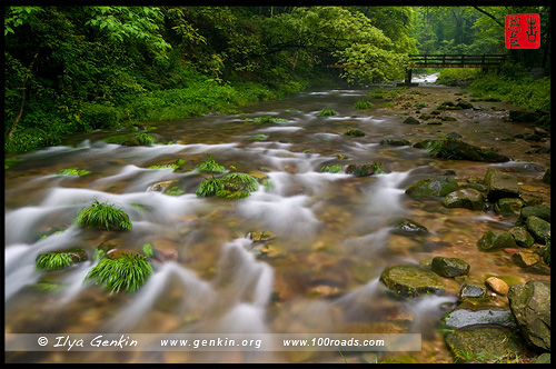 Чжанцзяцзе, Жангжиажие, Zhangjiajie, 张家界, Улиньюань, Wulingyuan, 武陵源, Китай, China, 中國, 中国