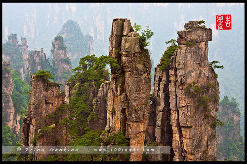 Вид с Платформы Сына Бога, Tianzi Sightseeing Platform, 天子观景台, Чжанцзяцзе, Жангжиажие, Zhangjiajie, 张家界, Улиньюань, Wulingyuan, 武陵源, Китай, China, 中國, 中国