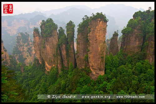 Пик Пяти Пальцев, The Five Fingers Peak, 五指峰, Желтые Скалы, Хуанши Чжай, Yellow Stone, 黄石, Чжанцзяцзе, Жангжиажие, Zhangjiajie, 张家界, Улиньюань, Wulingyuan, 武陵源, Китай, China, 中國, 中国