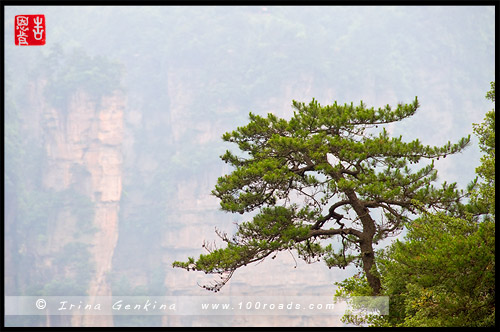 Юаньцзяцзе, Yuanjiajie, 袁家界, Чжанцзяцзе, Жангжиажие, Zhangjiajie, 张家界, Улиньюань, Wulingyuan, 武陵源, Китай, China, 中國, 中国