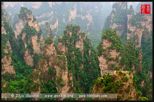 Чарующая сцена, Enchanting Stand, 迷魂台, Юаньцзяцзе, Yuanjiajie, 袁家界, Чжанцзяцзе, Жангжиажие, Zhangjiajie, 张家界, Улиньюань, Wulingyuan, 武陵源, Китай, China, 中國, 中国