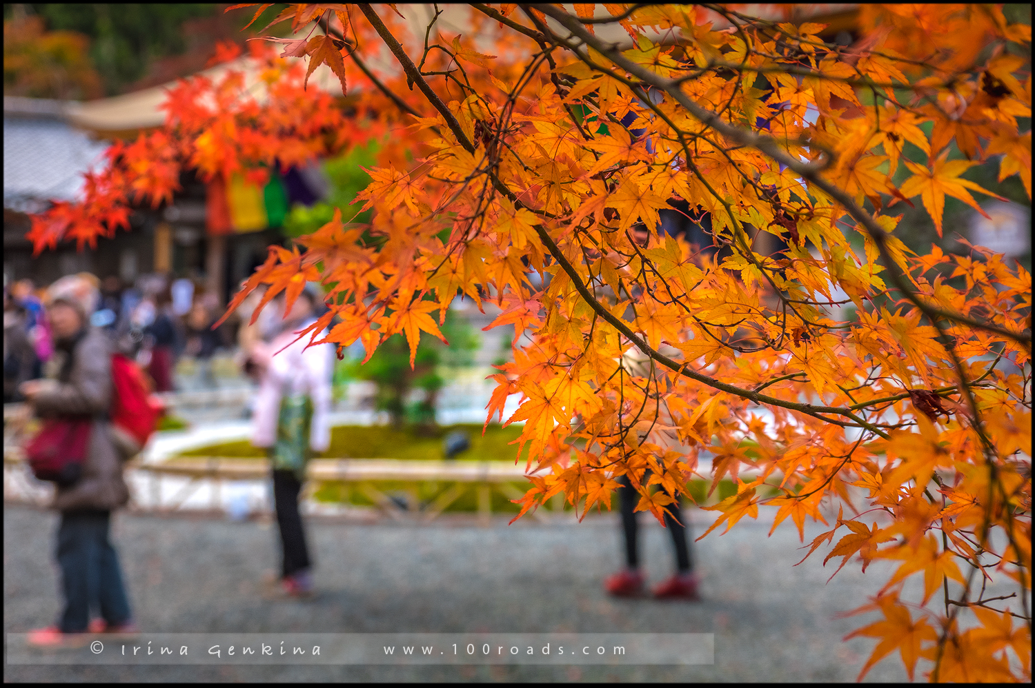 Храм Нисон-ин, Nison-in Temple, 二尊院, Арасияма, Arashiyama, 嵐山, Хонсю, Honshu Island, 本州, Япония, Japan, 日本