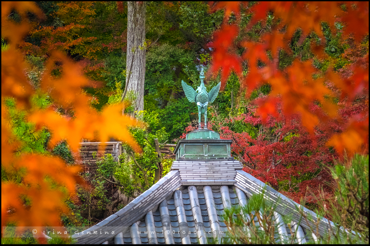 Храм Нисон-ин, Nison-in Temple, 二尊院, Арасияма, Arashiyama, 嵐山, Хонсю, Honshu Island, 本州, Япония, Japan, 日本