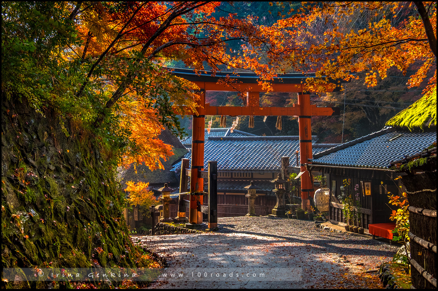 京都 平野屋