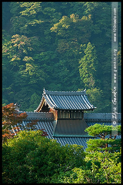 Храм Тэнрюдзи, Tenryu-ji, 天龍寺, Арасияма, Arashiyama, 嵐山, Киото, Kyoto, 京都市, регион Кансай, Kansai, Хонсю, Honshu Island, 本州, Япония, Japan, 日本