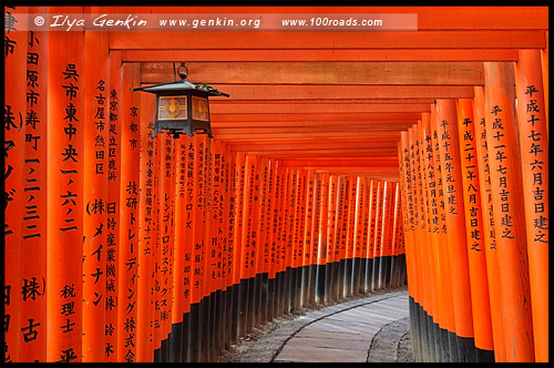 Фусими Инари, Fushimi Inari, 伏見稲荷, Киото, Kyoto, 京都市, район Фусими, Фушими, Fushimi-ku, 伏見区, регион Кансай, 関西地方, Kansai, 関西, Хонсю, Honshu Island, 本州, Япония, Japan, 日本