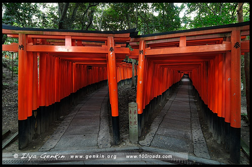 Фусими Инари, Fushimi Inari, 伏見稲荷, Киото, Kyoto, 京都市, район Фусими, Фушими, Fushimi-ku, 伏見区, регион Кансай, 関西地方, Kansai, 関西, Хонсю, Honshu Island, 本州, Япония, Japan, 日本