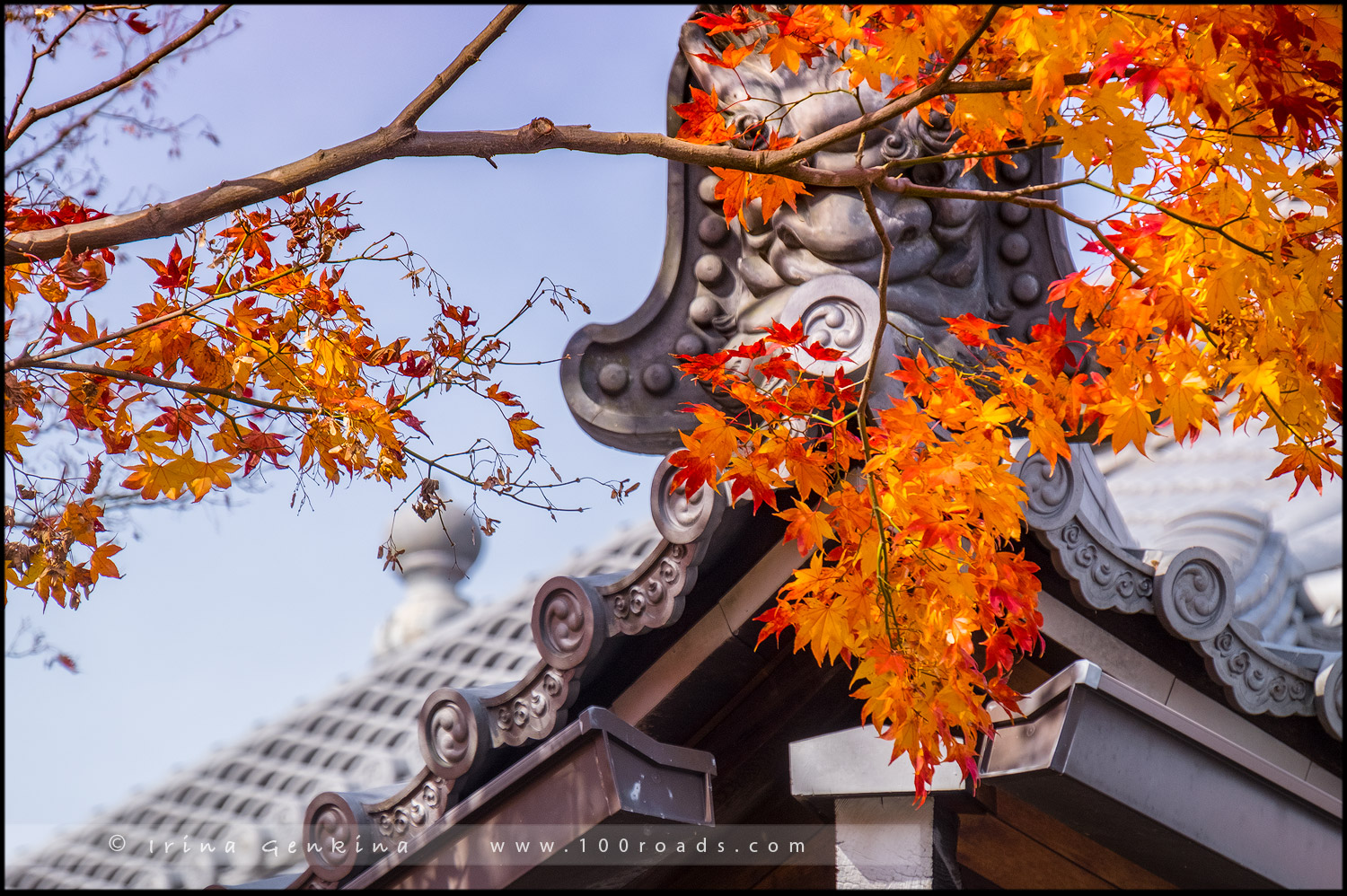 Храм Генко-ан, 源光庵, Genko-an Temple, Киото, Kyoto, 京都市, Хонсю, Honshu Island, 本州, Япония, Japan, 日本