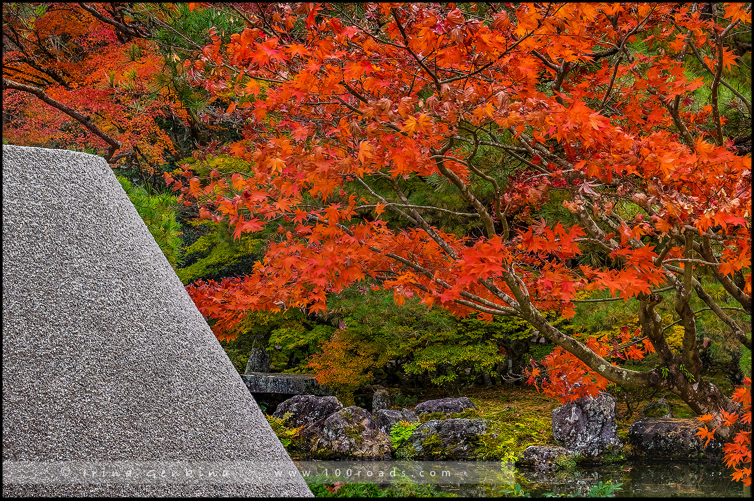 Серебряный павильон, Гинкаку-дзи, Ginkaku-ji, 銀閣寺, Jisho-ji, Киото, Kyoto, 京都市, Хонсю, Honshu Island, 本州, Япония, Japan, 日本