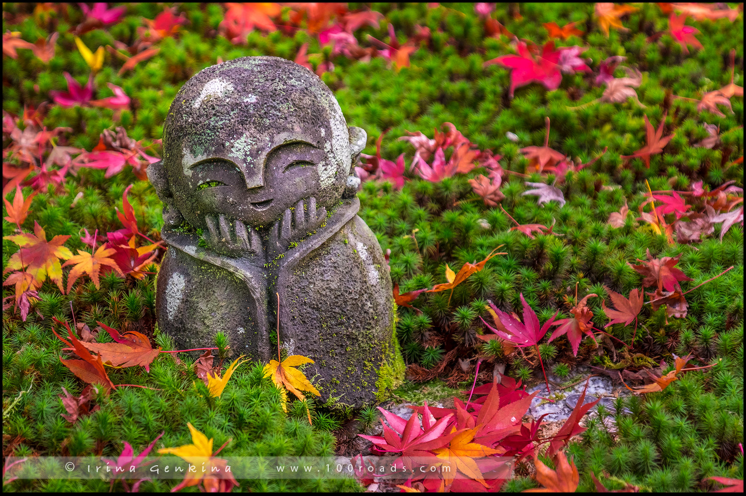 Энко-дзи (Enkouji Temple / 円光寺) - прогулка с Мидокоро - Киото (Kyoto)