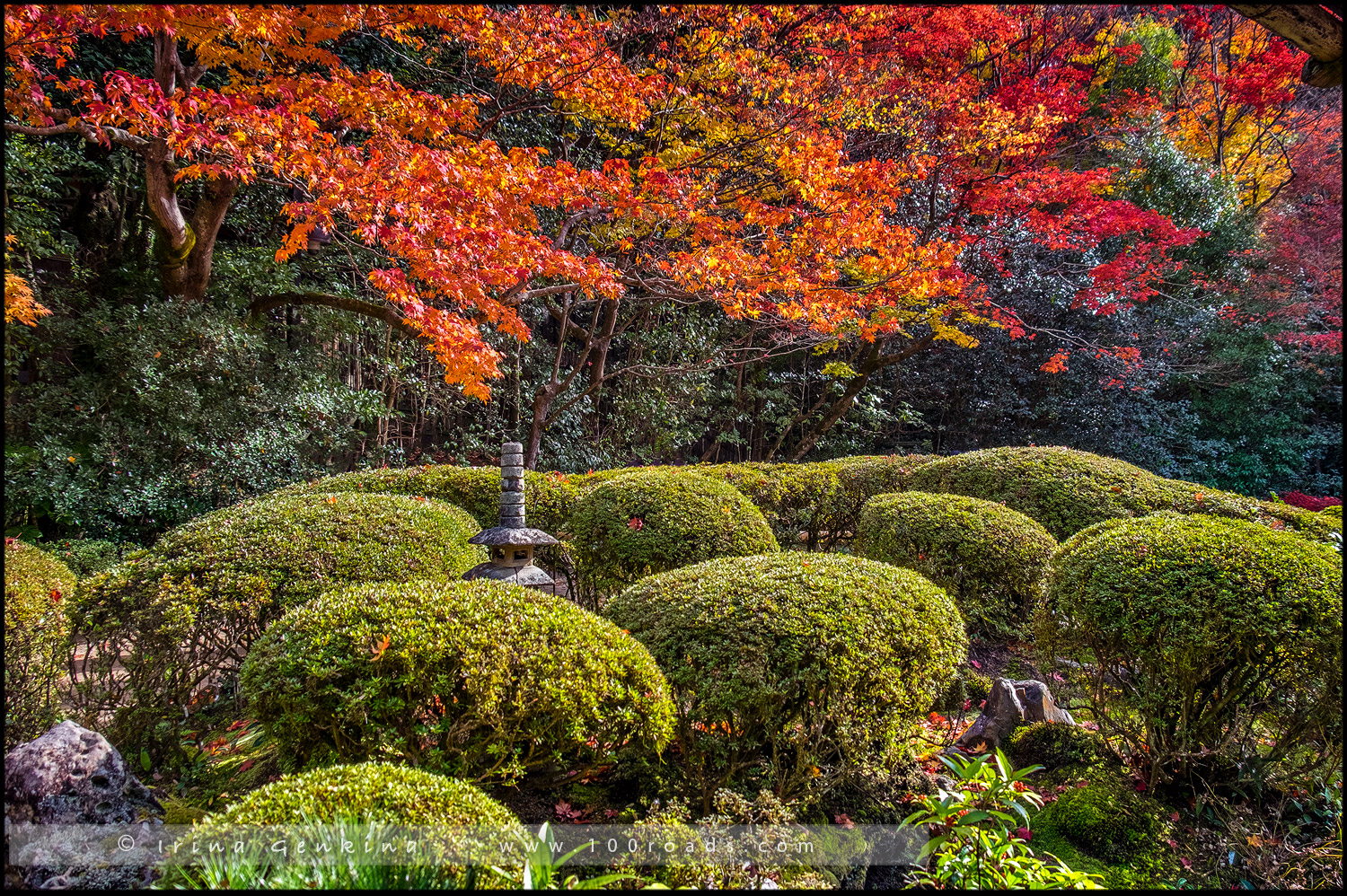 Сисэн-до, Shisen-do, 詩仙堂, Киото, Kyoto, 京都市, Хонсю, Honshu Island, 本州, Япония, Japan, 日本