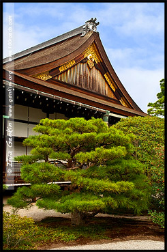 Императорский дворец в Киото, Kyoto Imperial Palace, Кёто Госё, Kyoto Gosho, 京都御所, Камигё-ку, Kamigyo-ку, 上京区, Киото, Kyoto, 京都市, регион Кансай, Kansai, Хонсю, Honshu Island, 本州, Япония, Japan, 日本