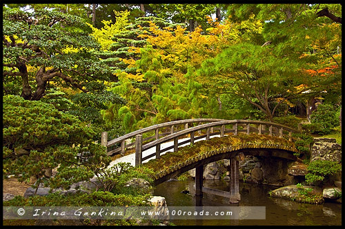 Императорский дворец в Киото, Kyoto Imperial Palace, Кёто Госё, Kyoto Gosho, 京都御所, Камигё-ку, Kamigyo-ку, 上京区, Киото, Kyoto, 京都市, регион Кансай, Kansai, Хонсю, Honshu Island, 本州, Япония, Japan, 日本