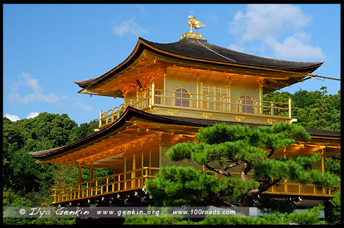 Золотой павильон, Кинкаку-дзи, Kinkaku-ji, 金閣寺, Киото, Kyoto, 京都市, регион Кансай, Kansai, Хонсю, Honshu Island, 本州, Япония, Japan, 日本