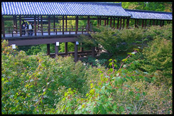 Храм Тофукудзи, Tofuku-ji Temple, 東福寺, Хигасияма, Higashiyama, 東山区, Киото, Kyoto, 京都市, регион Кансай, Kansai, Хонсю, Honshu Island, 本州, Япония, Japan, 日本