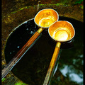 Golden Ladles at a Purification Fountain, Daisho-in Temple, Miyajima, Honshu, Japan