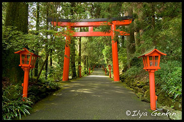 Путь к Храму девятиглавого Дракона, Kuzu-ryu Jinja, Hakone Jinja, 九頭龍, 九頭竜大明神, Lake Ashi, 葦ノ湖, Хаконэ (Hakone), 箱根, Япония (Japan), 日本 Путь к Храму девятиглавого Дракона, Kuzu-ryu Jinja, Hakone Jinja, 九頭龍, 九頭竜大明神, Lake Ashi, 葦ノ湖, Хаконэ (Hakone), 箱根, Япония (Japan), 日本