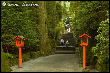 Лестница ведущая к храму, Храм девятиглавого Дракона, Kuzu-ryu Jinja, Hakone Jinja, 九頭龍, 九頭竜大明神, Lake Ashi, 葦ノ湖, Хаконэ (Hakone), 箱根, Япония (Japan), 日本 Лестница ведущая к храму, Храм девятиглавого Дракона, Kuzu-ryu Jinja, Hakone Jinja, 九頭龍, 九頭竜大明神, Lake Ashi, 葦ノ湖, Хаконэ (Hakone), 箱根, Япония (Japan), 日本