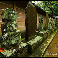 Храмовое кладбище, Храм Энгаку-дзи, Engaku-ji, Камакура, Kamakura, 鎌倉市, Kanagawa Prefecture, Канагава, 神奈川県, Регион Канто, Kanto Region, 関東地方, Хонсю, Honshu Island, 本州, Япония, Japan, 日本