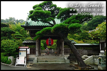 Вход в Храм, Ворота Сэн-мон, San-mon, Храм Хасе-дера, 長谷寺, Hase-dera, Камакура, Kamakura, 鎌倉市, Kanagawa Prefecture, Канагава, 神奈川県, Регион Канто, Kanto Region, 関東地方, Хонсю, Honshu Island, 本州, Япония, Japan, 日本 Вход в Храм, Ворота Сэн-мон, San-mon, Храм Хасе-дера, 長谷寺, Hase-dera, Камакура, Kamakura, 鎌倉市, Kanagawa Prefecture, Канагава, 神奈川県, Регион Канто, Kanto Region, 関東地方, Хонсю, Honshu Island, 本州, Япония, Japan, 日本