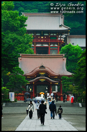 Святыня Цуругаока Хатиман, Tsurugaoka Hachiman-gu, 鶴岡八幡宮, Камакура, Kamakura, 鎌倉市, Kanagawa Prefecture, Канагава, 神奈川県, Регион Канто, Kanto Region, 関東地方, Хонсю, Honshu Island, 本州, Япония, Japan, 日本