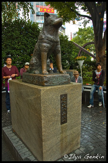 Бронзовая скульптура Хатико (Hachiko), Сибуя (Shibuya), Токио (Tokyo), Япония (Japan) Бронзовая скульптура Хатико (Hachiko), Сибуя (Shibuya), Токио (Tokyo), Япония (Japan)
