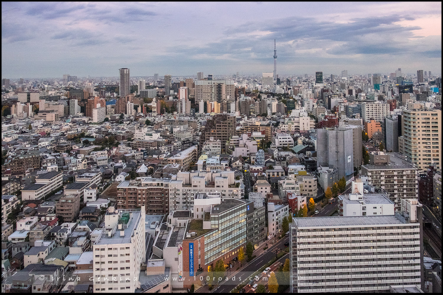 Район Бункё (Bunkyo), Токио (Tokyo), Япония (Japan)