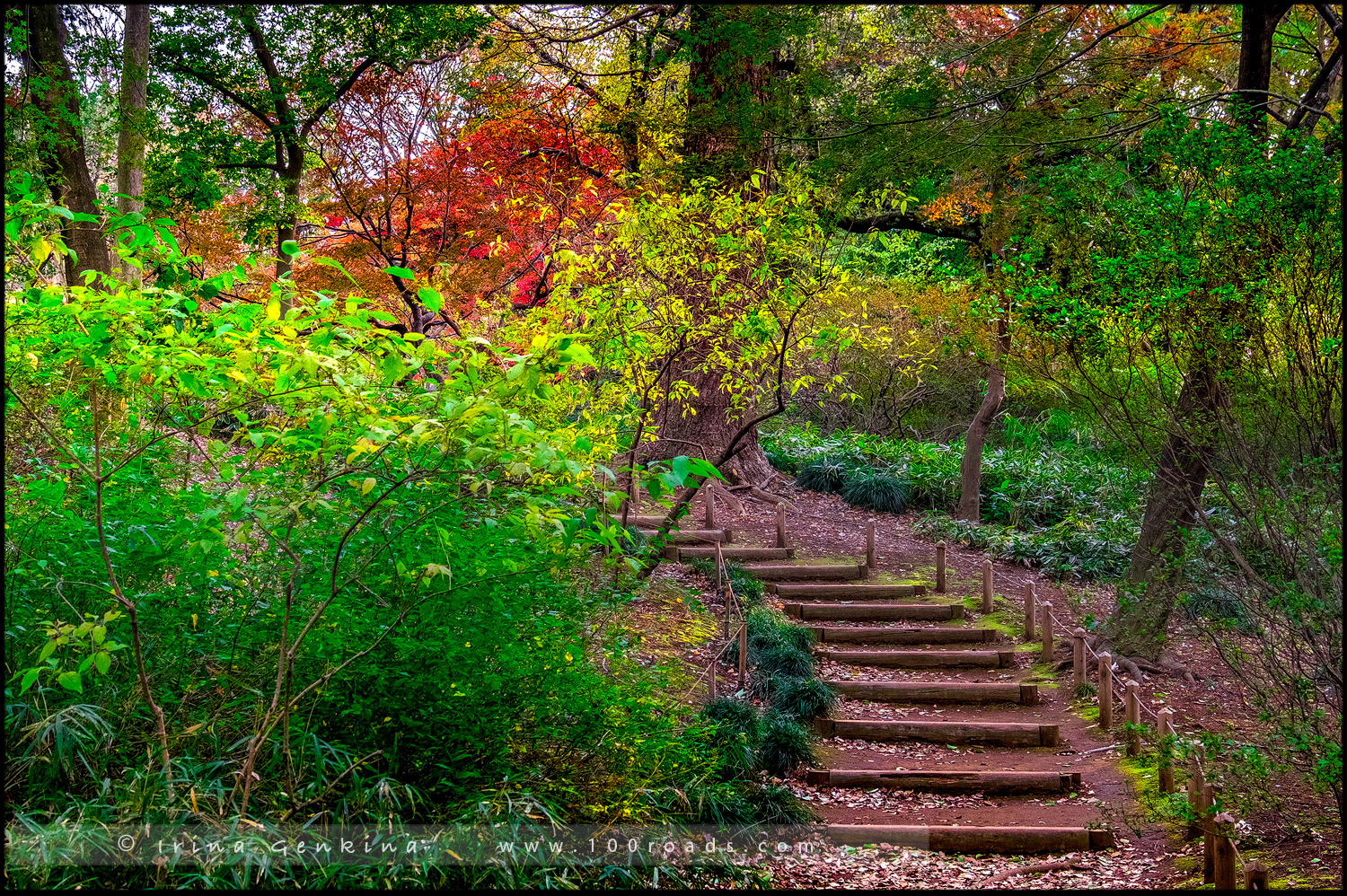 Сад Рикугиэн (六義園 / Rikugien Garden) - Токио (Tokyo)