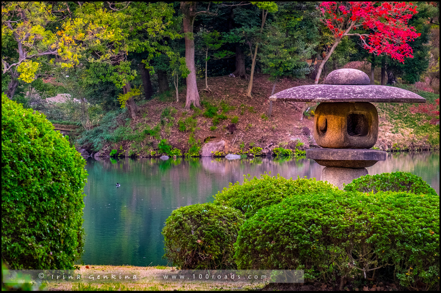 Сад Рикугиэн (六義園 / Rikugien Garden) - Токио (Tokyo)