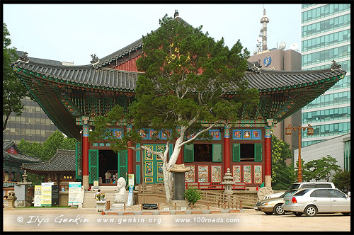 Храм Чогеса, Jogyesa Temple, 조계사, 曹溪寺, Сеул, 서울, Seoul, 서울특별시, 首爾, 特別市, Южная Корея, 대한민국, 大韓民國, South Korea, Азия, Asia